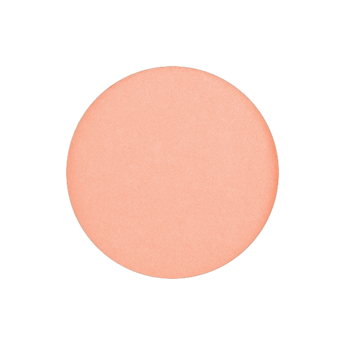 Wet & Dry Foundation Godet Pan Refill - #37