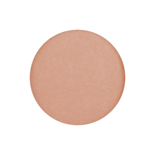 Wet & Dry Foundation Godet Pan Refill - #41